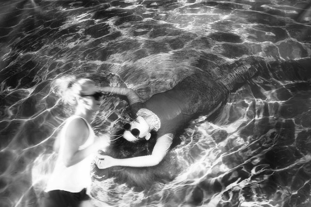 swim.jpg